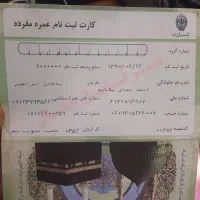 دو عدد فیش عمره|تور و چارتر|تهران, باغ فیض|دیوار