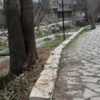 تور گردشگری