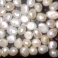 مروارید باروک شناسنامه دار قدیمی