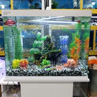 آکواریوم مرکزی خلیج فارس|ماهی|یاسوج, |دیوار