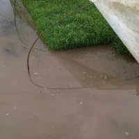 تیم دستگاهی طارم هاشمی و هلال سالم و آماده نشا