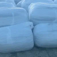 ذرت علوفه تخمیری