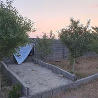 باغ ویلا درخت ۸ ساله دور دیوار درب تانکر ۶ هزاری|فروش خانه و ویلا|مشهد, توس (بلوار توس)|دیوار