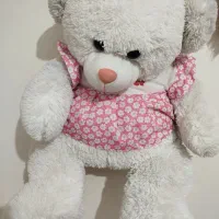 عروسک خرسی برای کودکان|اسباب‌بازی بچه|شاهین‌شهر, خانه کارگر|دیوار