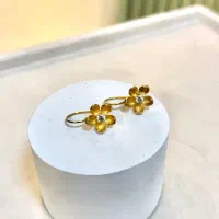 گوشواره و پلاک طلا