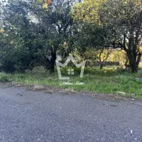 زمین-300-متری-لوکیشن-نشتارود-مسکونی