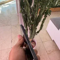 16pro max 256|موبایل|تهران, مدائن|دیوار