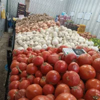 واگذاری میوه فروشی شلوغ بازار