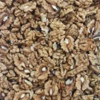 مغز گردو ایرانی