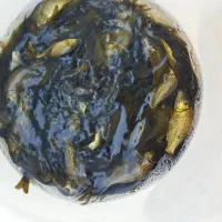 فروش بچه کپور پیشنهاد ویژه زمستان در نجف آباد