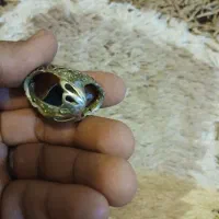 معاوضه با طوطی|جواهرات|جیرفت, |دیوار