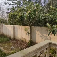 ویلای 430متری/حیاط دلباز/زیر قیمت منطقه/سنددار|فروش خانه و ویلا|رشت, بازار|دیوار