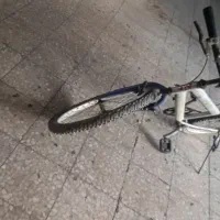 دوچرخه ۲۴|دوچرخه، اسکیت، اسکوتر|مشکین‌دشت, |دیوار