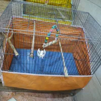 قفس پرنده|لوازم جانبی حیوانات|تهران, جیحون|دیوار