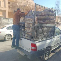 پشتی ترمه دوز|پشتی|شیراز, گود عربان|دیوار