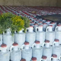 خیارشور ویژه تخمیری سنتی فیت‌دار (ریز و ترد)