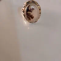 انگشتر شجر قائن