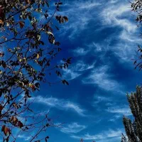 فروش سیمکارت