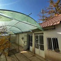 اجاره مغازه و زمین|اجارهٔ مغازه و غرفه|ماهان, |دیوار