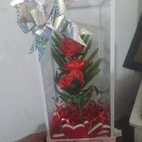 باکس گل ربانی  شاین دار