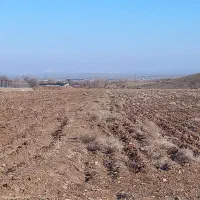 زمین    کشاورزی یا گلخانه