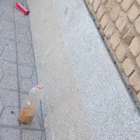 رو شویی ویکی و سنگ ابرو بادی|لوازم سرویس بهداشتی|آکند, |دیوار