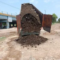 فروش چمن آفریقایی با اجرا، کود|خدمات باغبانی و درختکاری|اهواز, اهواز|دیوار