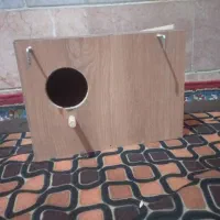 لونه برای پرنده نو نو هس با یک پلاستیک پوشال