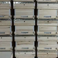 کندو ی زنبور