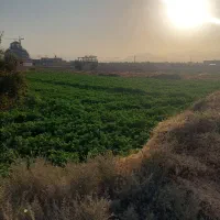 زمین ۱۰۰۰ متر واقع در شهر میبد|فروش زمین و ملک کلنگی|میبد, |دیوار