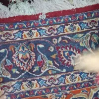 فرش طبیعی ۱۲متری|فرش|اردبیل, |دیوار