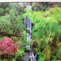 پرده اشپزخانه