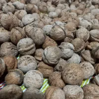 گردو درجه یک|خوردنی و آشامیدنی|کرج, آق تپه|دیوار