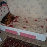 تخت دخترانه