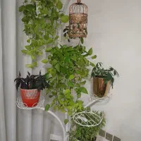 گلخونه سیار بسیار زیبا فلزی