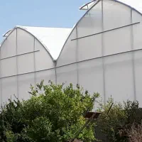 فروش گلخانه- شاهین شهر|فروش دفتر صنعتی، کشاورزی، تجاری|شاهین‌شهر, مورچه خورت|دیوار