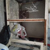 یک عدد قفس چوبی بزرگ با یک عدد قفس جعل و قفس معمول