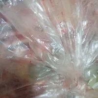 اشغال گوشت سگ و گربه