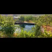 باغ|فروش خانه و ویلا|دینور, |دیوار