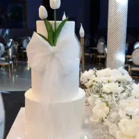 سفارش کیک عقد و عروسی و تولد|خدمات پذیرایی، مراسم|زابل, |دیوار