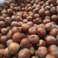 فروش فندق پاکسازی شده بدون خرابی و پوچی و سیاهی|خوردنی و آشامیدنی|رشت, بازار|دیوار