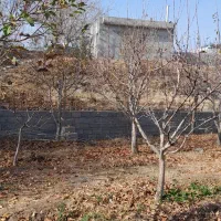 باغ ۸ من صفا باغی|فروش زمین و ملک کلنگی|بناب, |دیوار