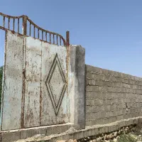 فروش-زمین-تیس