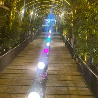 ویتر و سالنکار