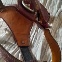 سینه بند و قلاده سگ