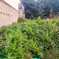 فروش یک قطعه زمین