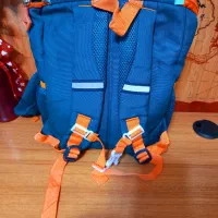 کفش نو|کیف، کفش، کمربند|جم, |دیوار