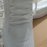 کتونی|کیف، کفش، کمربند|پرند, فاز ۶|دیوار