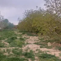 باغ-فروشی-خیابان-تهران