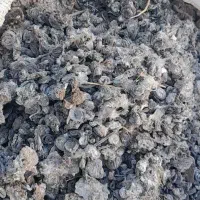 کود کبوتر